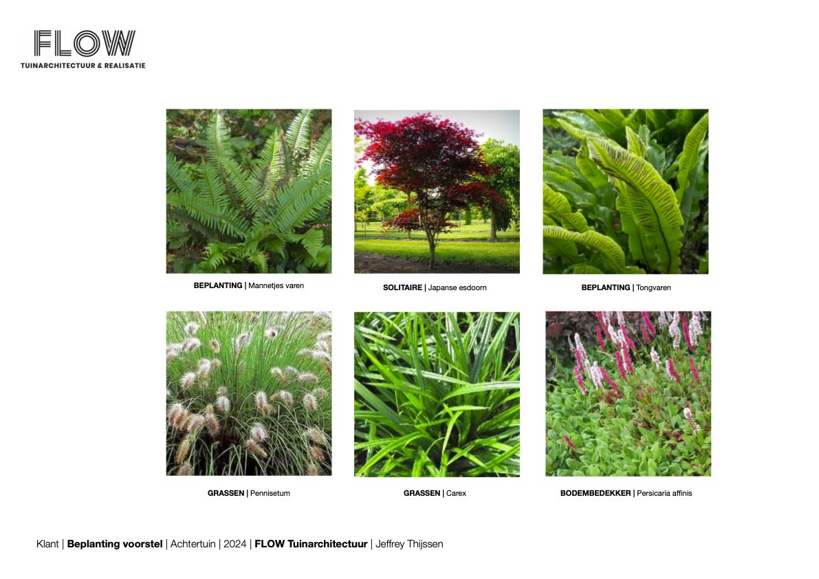 Beplantingsvoorstel met soortnamen uit de ontwerpbundel