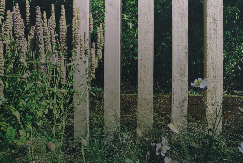 Exotisch tot rust komen — tuinontwerp FLOW