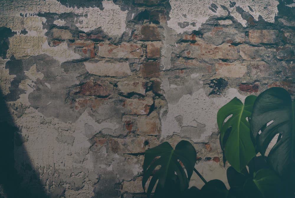 Mediterrane ontspanning — tuinontwerp FLOW